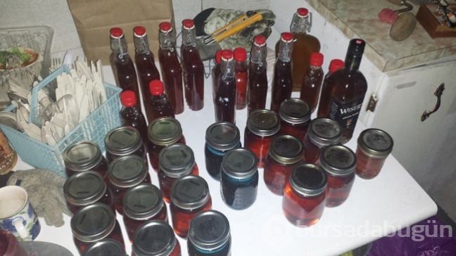 Ağaçtan gelen mucize! Ünlü yıldızın sırrı buymuş