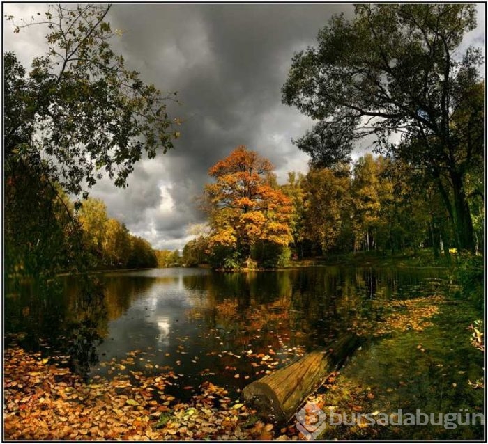 Günün muhteşem fotoğrafları