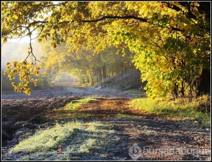 Günün muhteşem fotoğrafları