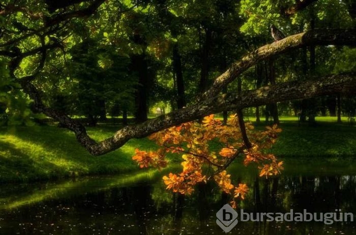 Günün muhteşem fotoğrafları