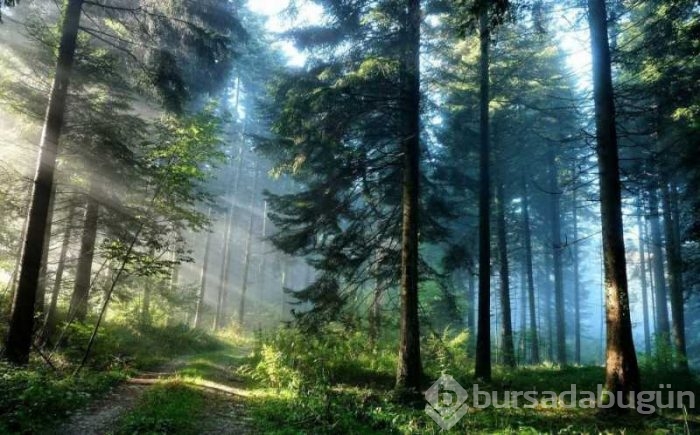 Günün muhteşem fotoğrafları