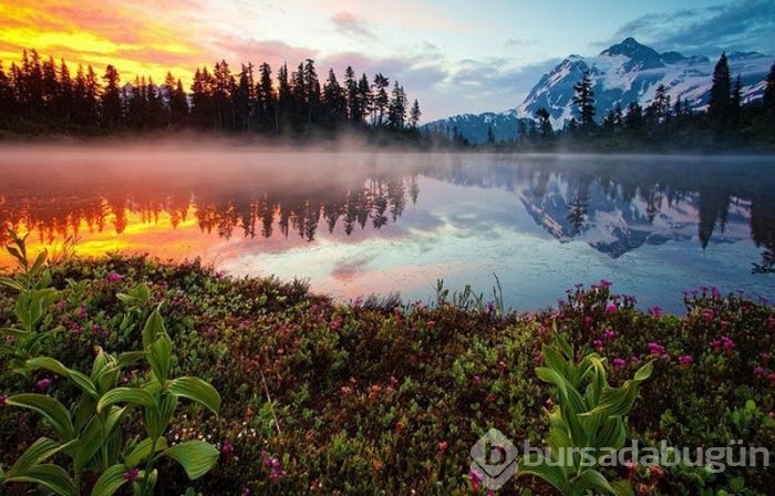 Günün muhteşem fotoğrafları