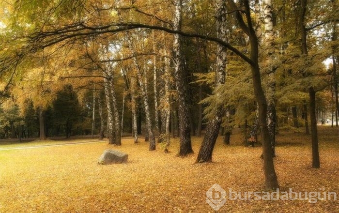 Günün muhteşem fotoğrafları