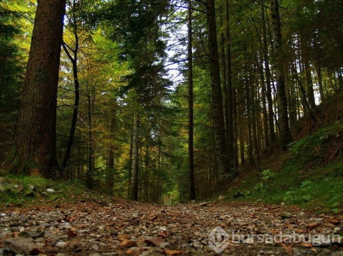 Günün muhteşem fotoğrafları