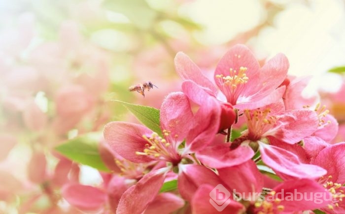 Günün muhteşem fotoğrafları