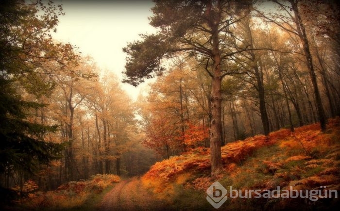 Günün muhteşem fotoğrafları