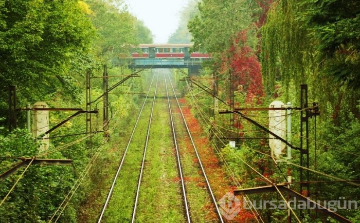 Günün muhteşem fotoğrafları