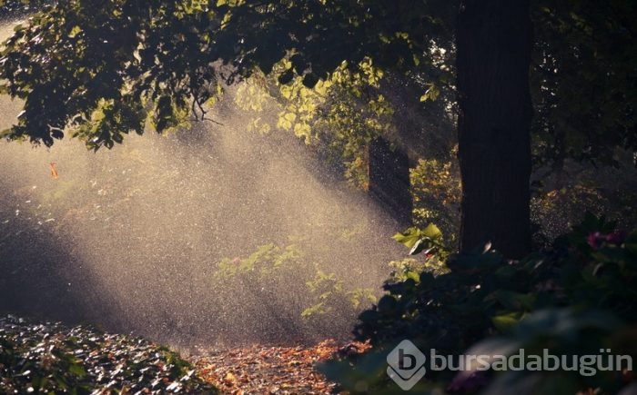 Günün muhteşem fotoğrafları