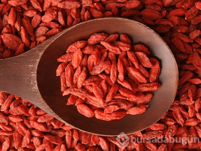 Goji berry'nin 10 mucizevi faydası