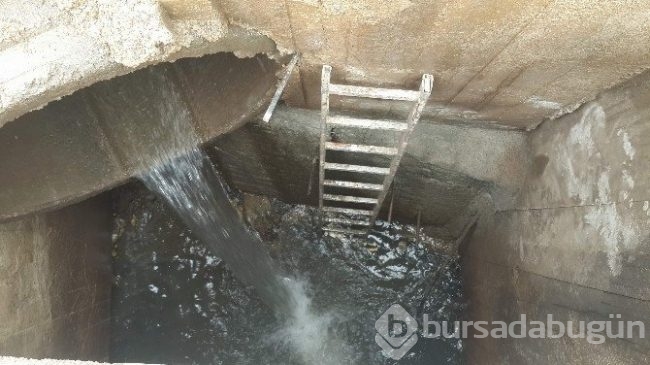 Kocaeli'nde akıllara durgunluk veren hırsızlık