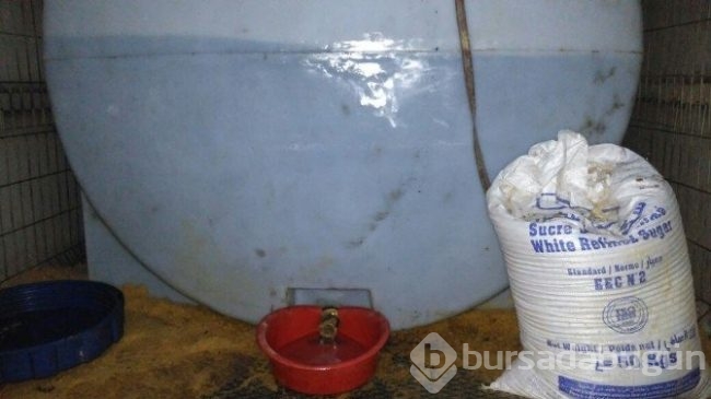 Kocaeli'nde akıllara durgunluk veren hırsızlık