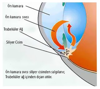 Ailenizde varsa risk altındasınız!