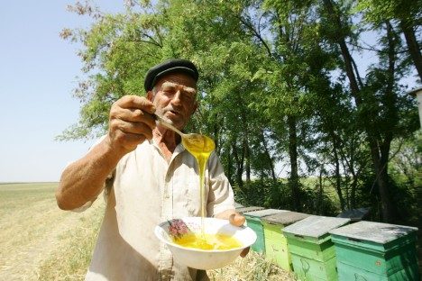 Kanser, karaciğer, sedef ve mide için ilaç
