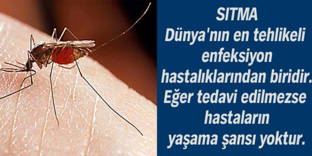 Dünyanı en beter hastalıkları