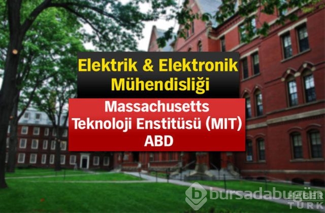 Alanlarında en iyi üniversiteler
