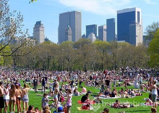 Turistik gezilerde hayaller ve gerçekler