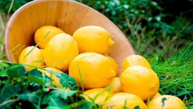 Hangi burç nasıl beslenmeli?