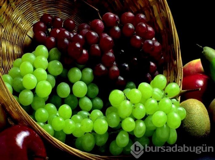 Hangi burç nasıl beslenmeli?