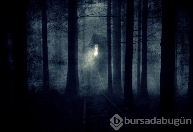 Duyunca şaşkınlıktan dilinizin tutulacağı 20 bilgi