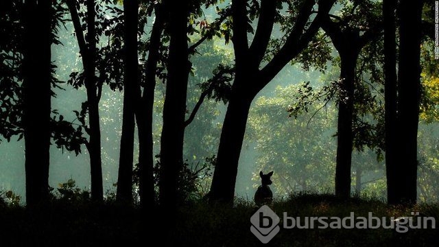 2016'nın en iyi seyahat fotoğrafları!