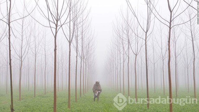 2016'nın en iyi seyahat fotoğrafları!