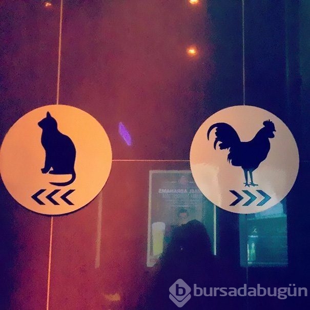 En çılgın tuvalet levhaları