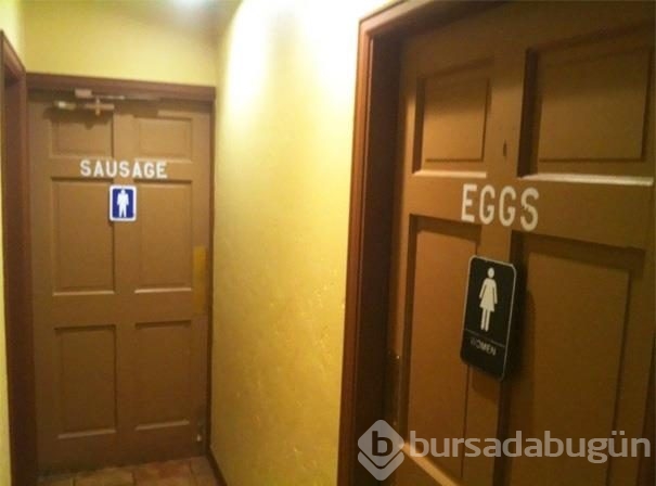En çılgın tuvalet levhaları