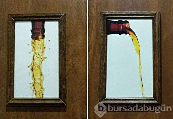 En çılgın tuvalet levhaları