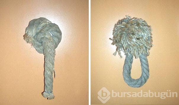 En çılgın tuvalet levhaları