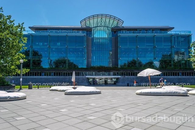 Dünya üniversite sıralaması