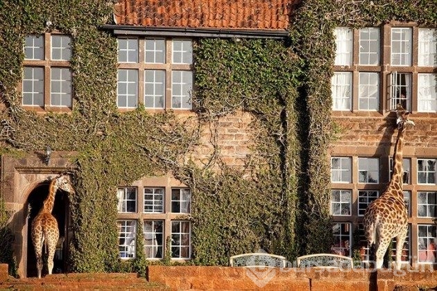 Hemen gitmek isteyeceğiniz 13 büyüleyici otel
