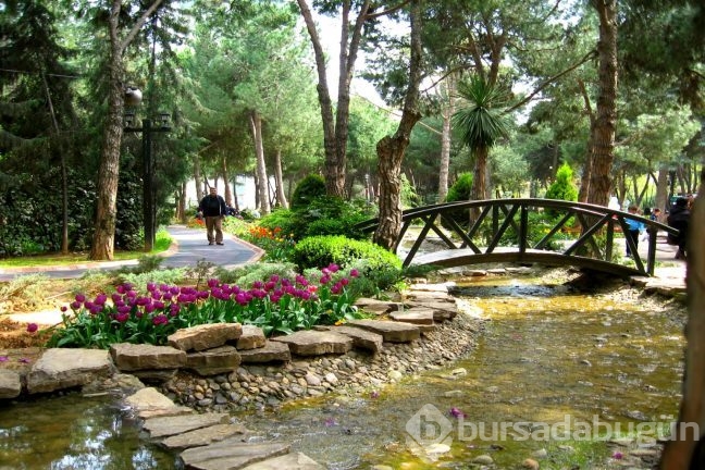 Parkların insan sağlığına etkileri