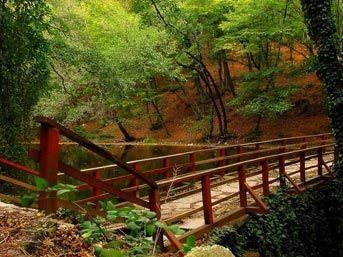 Parkların insan sağlığına etkileri