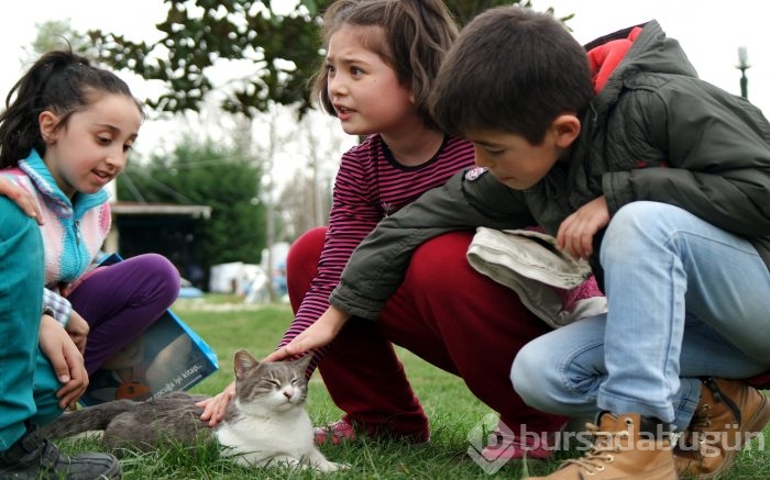 Bahar Bursa'ya çok yakıştı