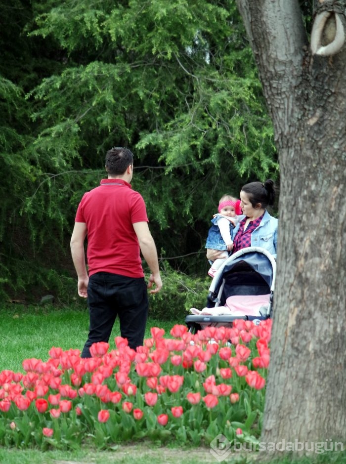 Bahar Bursa'ya çok yakıştı