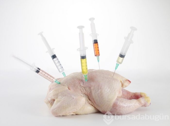 Tavuk, balık, inek
Antibiyotik çağrısı