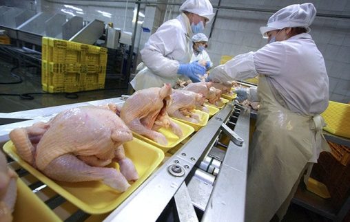 Tavuk, balık, inek
Antibiyotik çağrısı