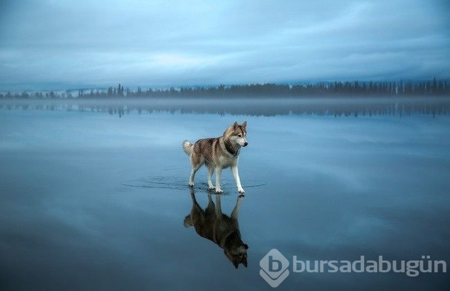 Fiziğe aykırı fotoğraflar