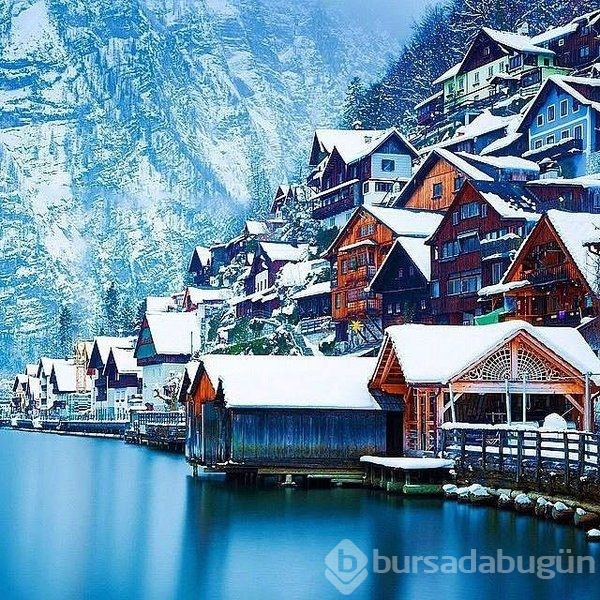 Twitter'de paylaşılan en iyi fotoğraflar