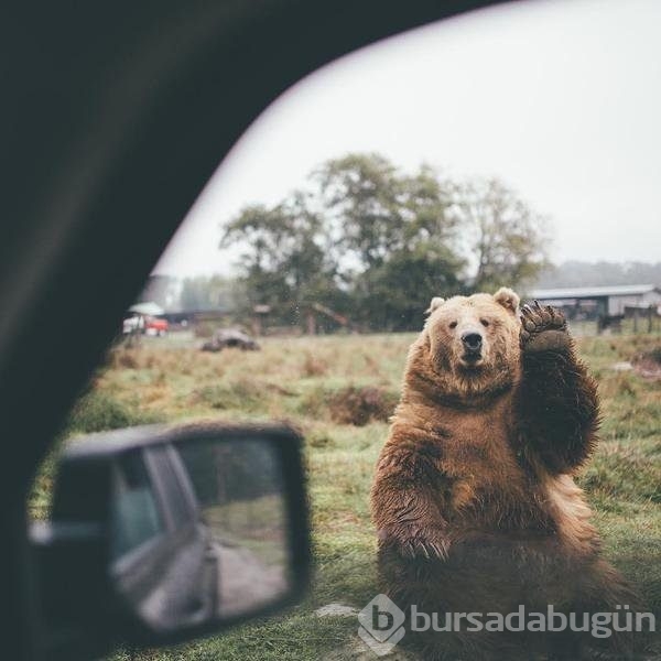 Twitter'de paylaşılan en iyi fotoğraflar