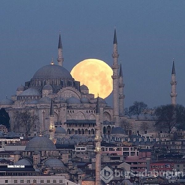 Twitter'de paylaşılan en iyi fotoğraflar