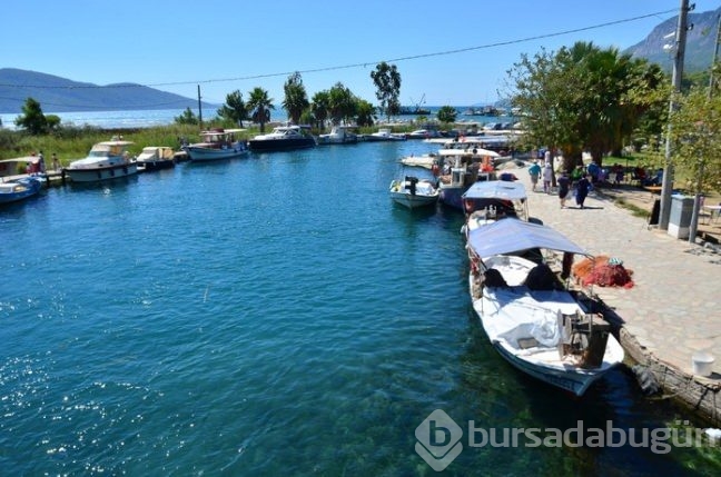 Yavaş şehir ne demektir nerelerde bulunur?
