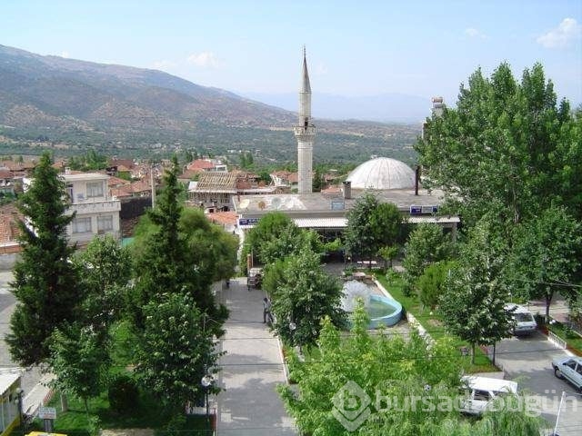 Yavaş şehir ne demektir nerelerde bulunur?