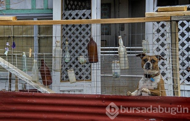 Dağların eteğinde bir "hayalet kasaba''
