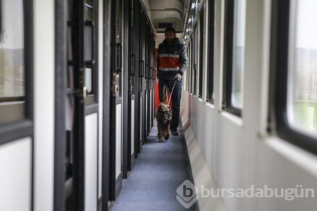 Kurtalan Ekspresi'nde arama
