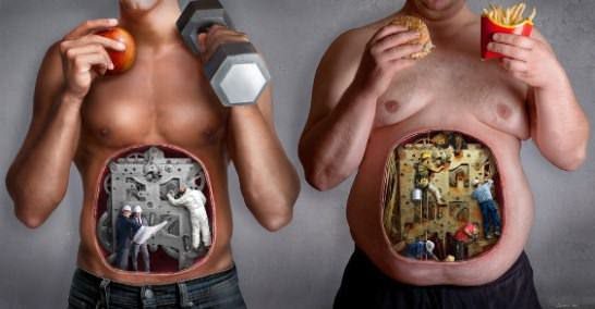 Metabolizma hakkında bilinmeyenler
