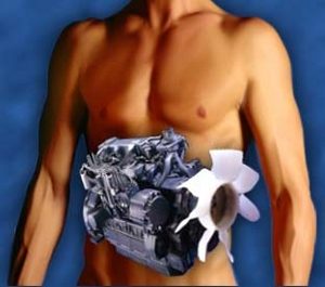Metabolizma hakkında bilinmeyenler
