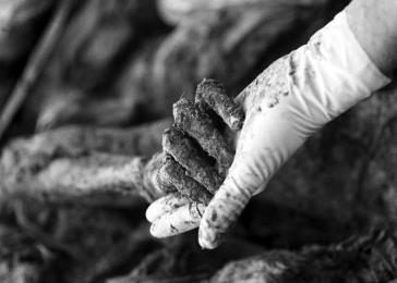 Srebrenitsa'da neler olmuştu?