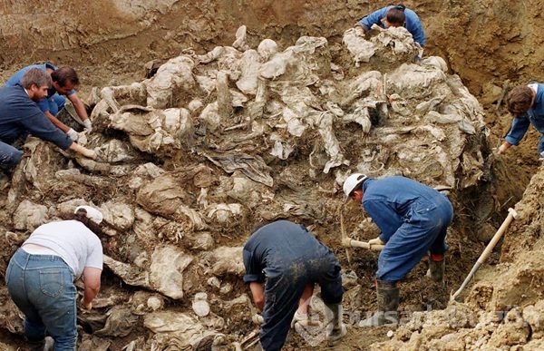 Srebrenitsa'da neler olmuştu?