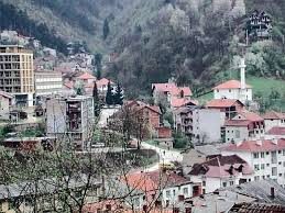 Srebrenitsa'da neler olmuştu?
